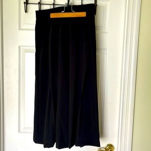 Ann Taylor Dress Pleated Pants